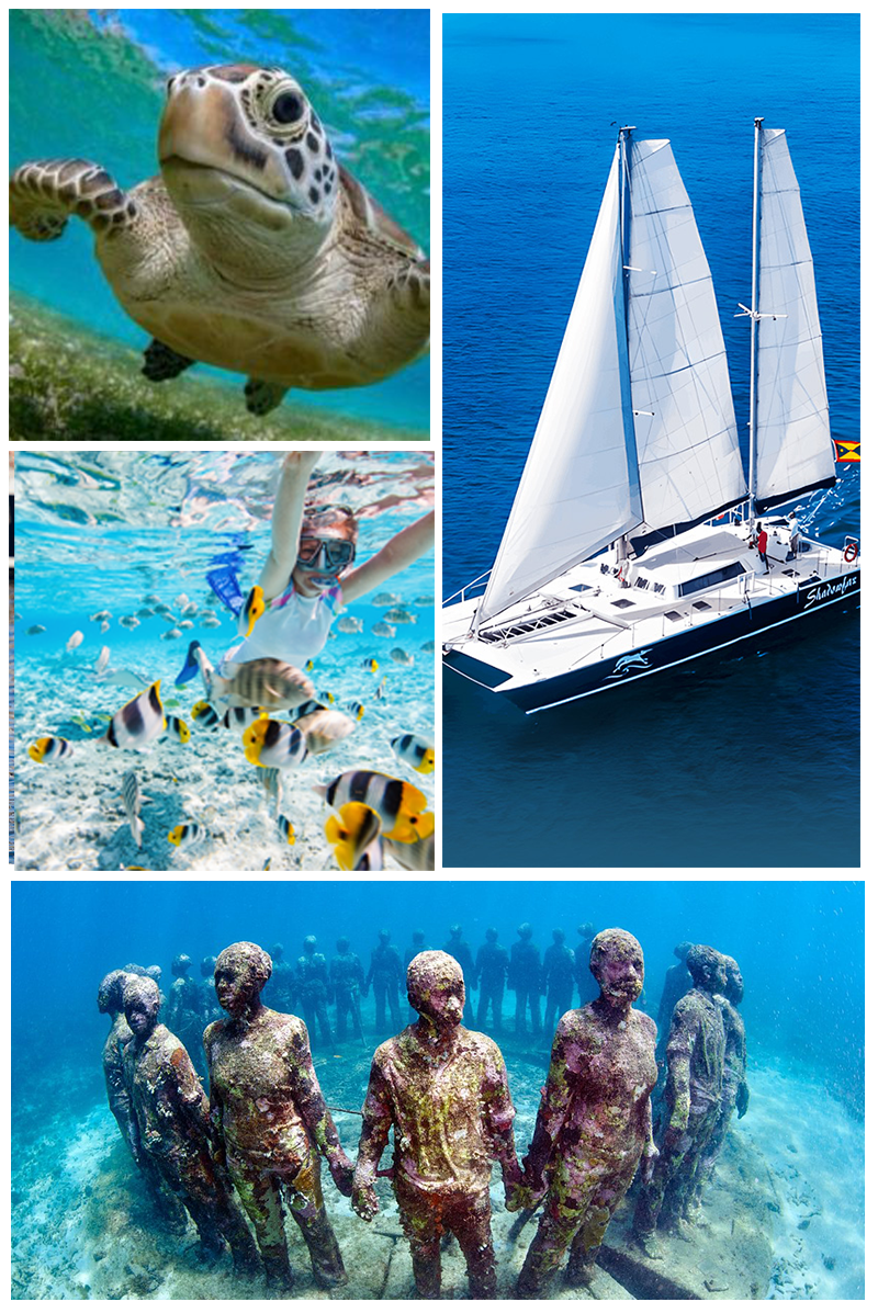 Shadowfax Luxury Tours - Snorkeling Tour